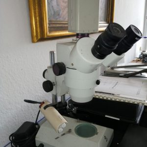 Microscope